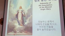 성모 승천 대축일